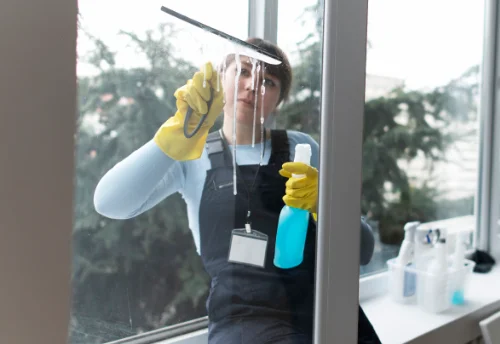 Nettoyage de vitres intérieures et extérieures à Saint-Germain-du-Plain